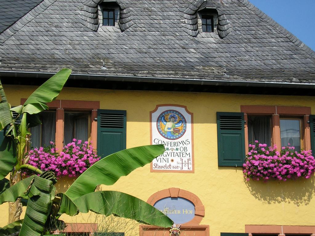 Bio-Weingut Staffelter Hof Guest House Krov Ngoại thất bức ảnh